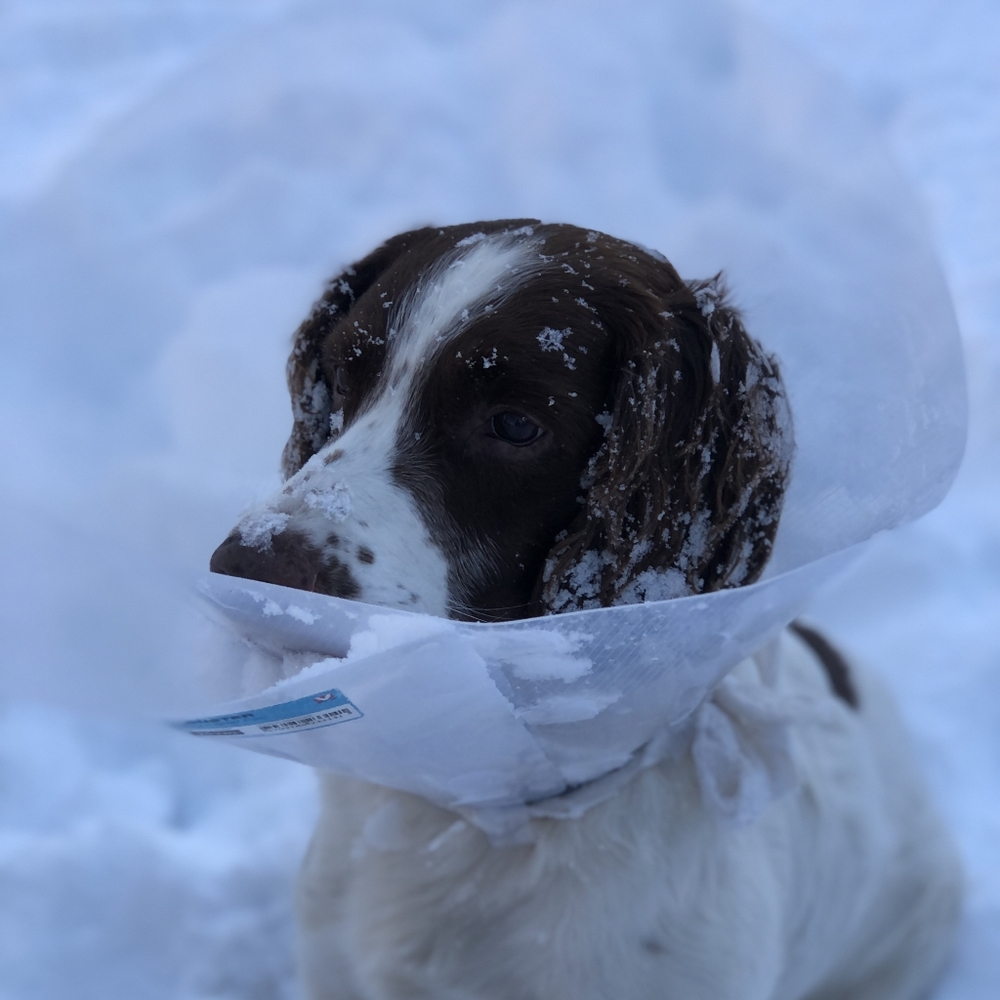 Meet your Posher, Zwei